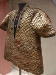 lorica squamata