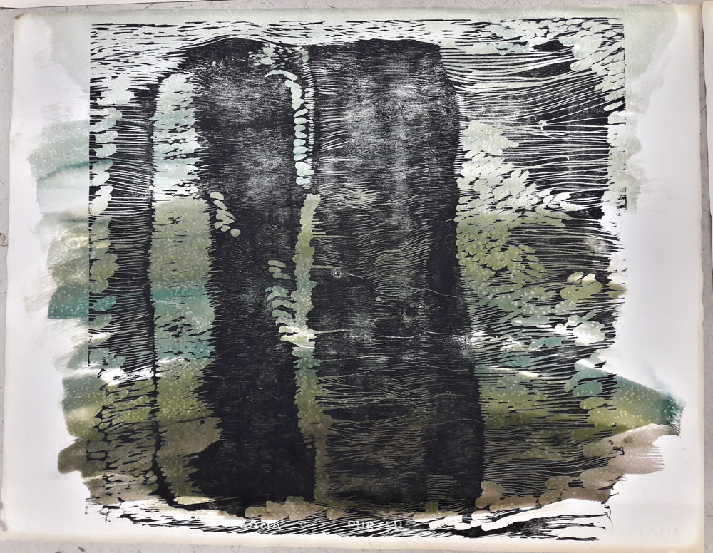 le secret des falaises, gravure sur bois, aquarelle, 65x50 cm, 2017